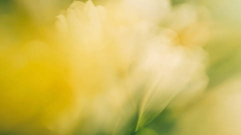 High quality Midjourney V8 Alpha image generation example